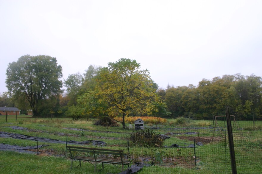 A view of the farm on a rainy October day. SOUP Coordinator Sherry Chen says that longtime South Springfield locals say the property has been green space for as long as they can remember. 