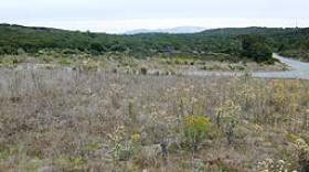 Cemetery site on Fort Ord
