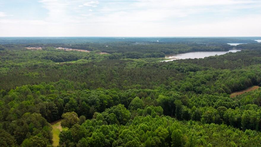 Gaston County purchased 562 undeveloped acres along Lake Wylie in Belmont for a future public park.