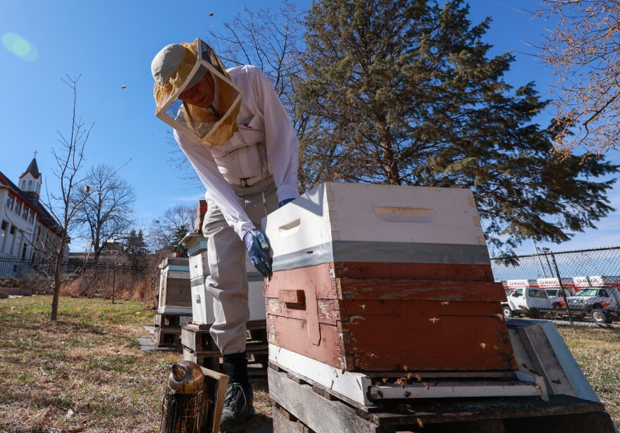 Beekeeper Mark Welsh checks on his bee hives in a community garden in Omaha, Nebraska, on March 9, 2026. Welsh lost nine of his hives last year during a widespread honeybee die-off.