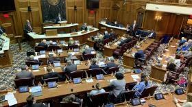 About 100 people came to the Statehouse for a hearing two days before Thanksgiving on proposed legislative that would effectively ban businesses from enforcing COVID-19 vaccine mandates.