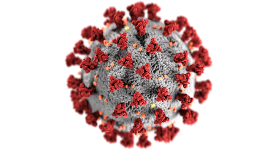 This illustration, created at the Centers for Disease Control and Prevention (CDC), reveals ultrastructural morphology exhibited by coronaviruses.