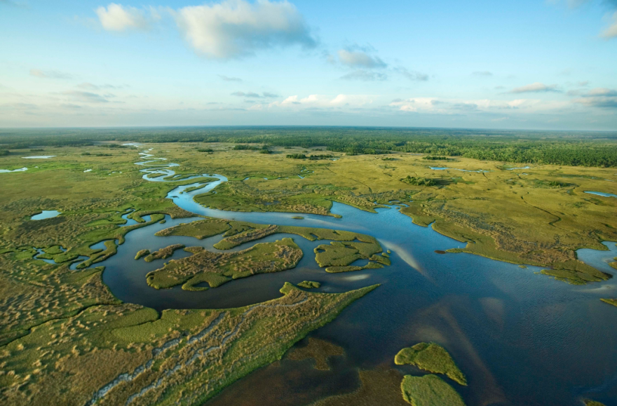 Ranches in Florida that includes wetlands and prairies needed to protect wildlife and fight impacts from climate change could dramatically shrink by 2070 if the state's current growth and development practices continue, according to new report by the University of Florida and 1000 Friends of Florida.