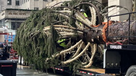 The 2022 Christmas tree is loaded into Rockefeller Center.