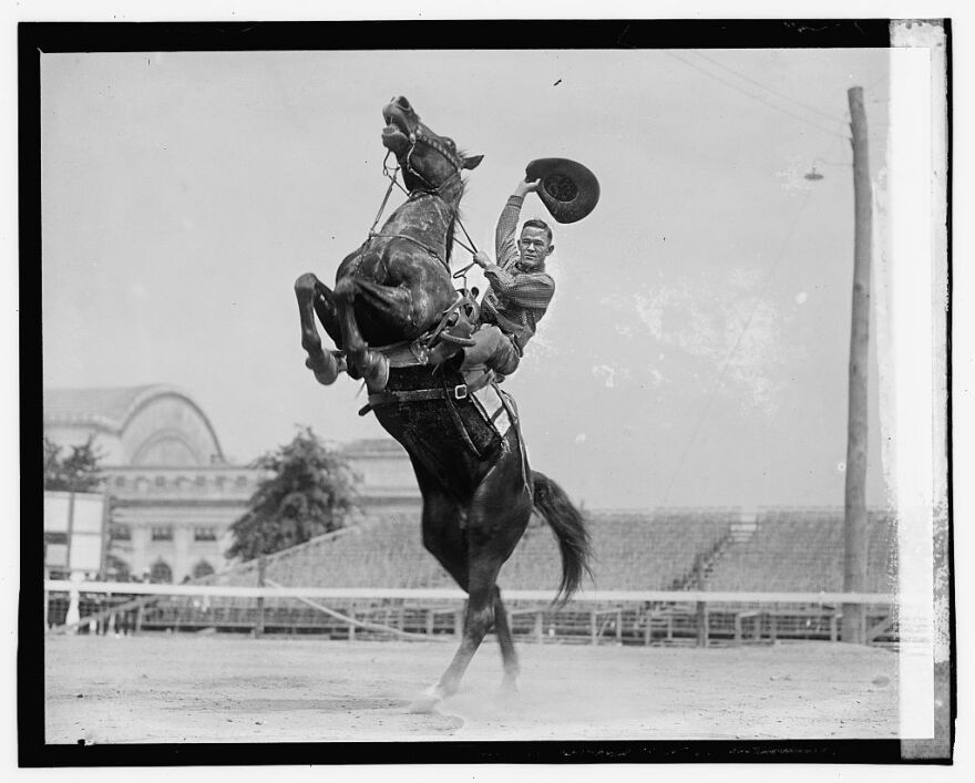 Man on horse