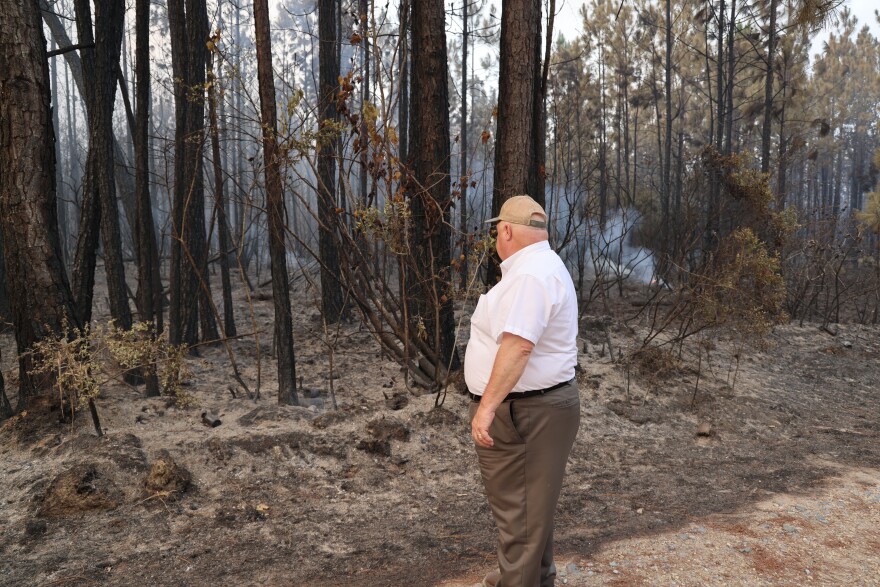 Louisiana Department of Agriculture and Forestry commissioner Mike Strain looks at fire-damaged land in Beauregard Parish