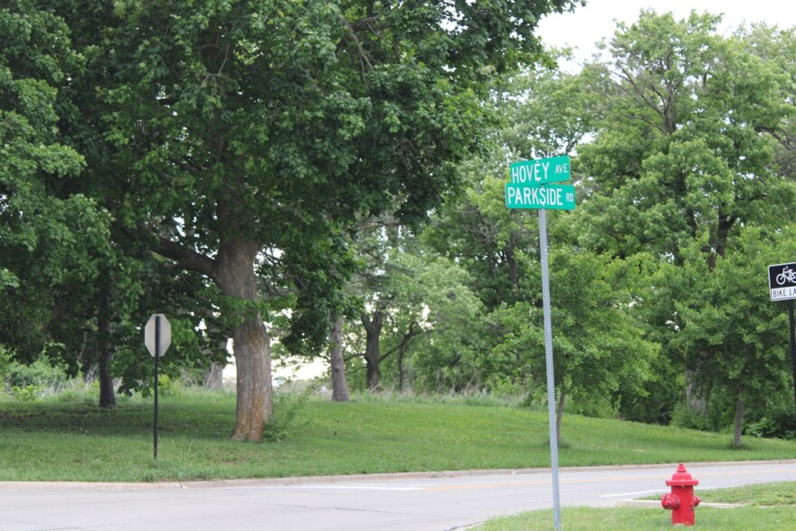 A streetcorner with trees behind and a road in front.