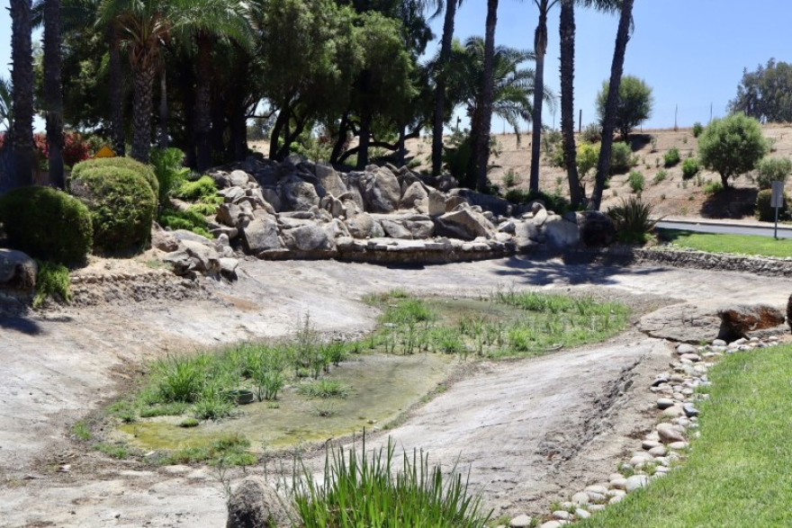 A dried-up pond is covered in green algae and grass on July17, 2026.