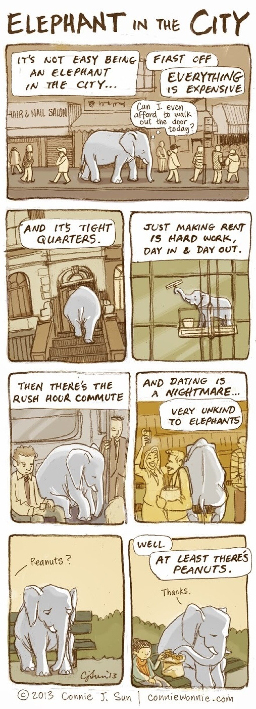 Elephant in the City