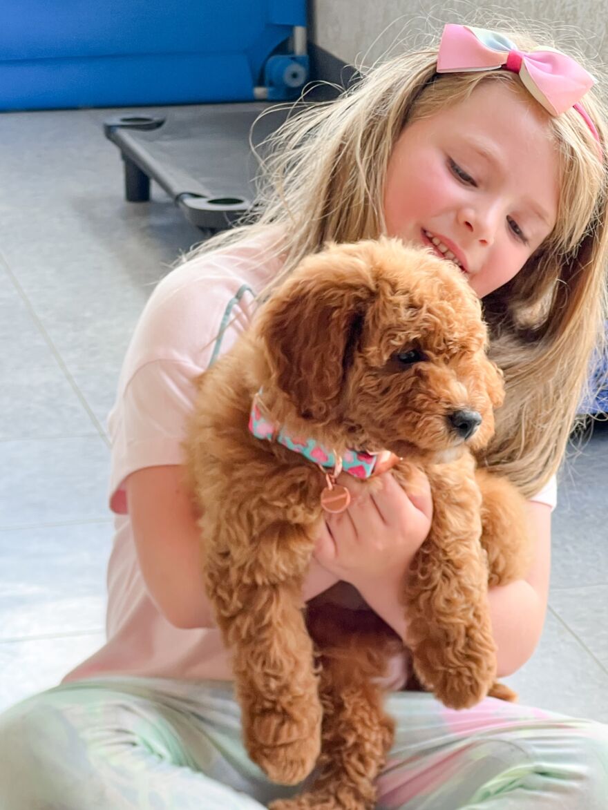 Maybel Lowry sits with Luna, the family’s 10-week-old miniature goldendoodle, who is training to become a diabetic alert dog.