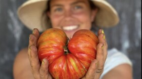 Blaire AuClair, co-Owner/operator of Folk Life Farm, shows off a large heirloom tomato