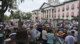 Hundreds of people gathered for the No Kings protest on March 28th, 2025.