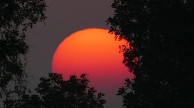 Researchers say the temperature change may benefit some animal and plant species, but hurt others.