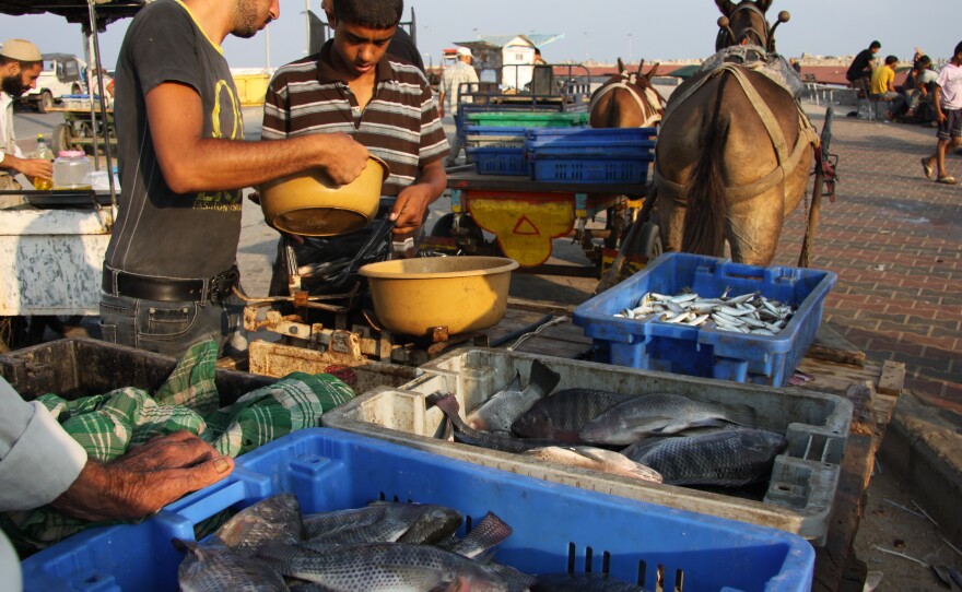 Merchants weigh the morning's catch. Limits Israel puts on Gaza's fishermen make it hard to earn a living, they say.