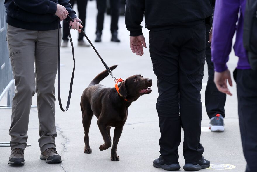 Dixie, a COVID-sniffing dog, was deployed at a NASCAR race on Sunday to screen pit crew members and staff.