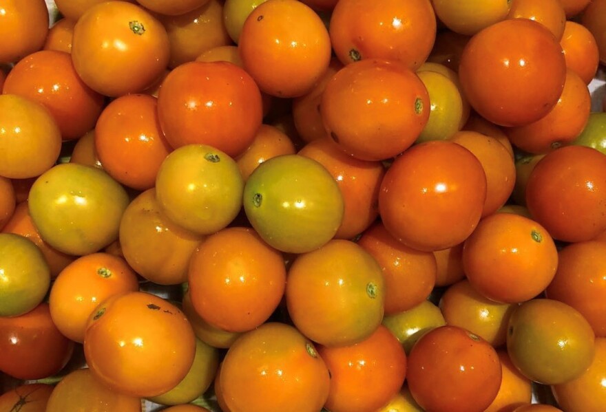 Tony's haul of cherry tomatoes - Credit:@therealtonyforeman/Instagram