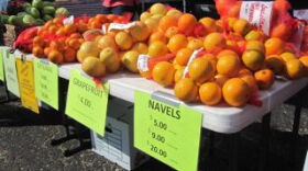 Louisiana's small but distinctive citrus harvest comes in many varieties.