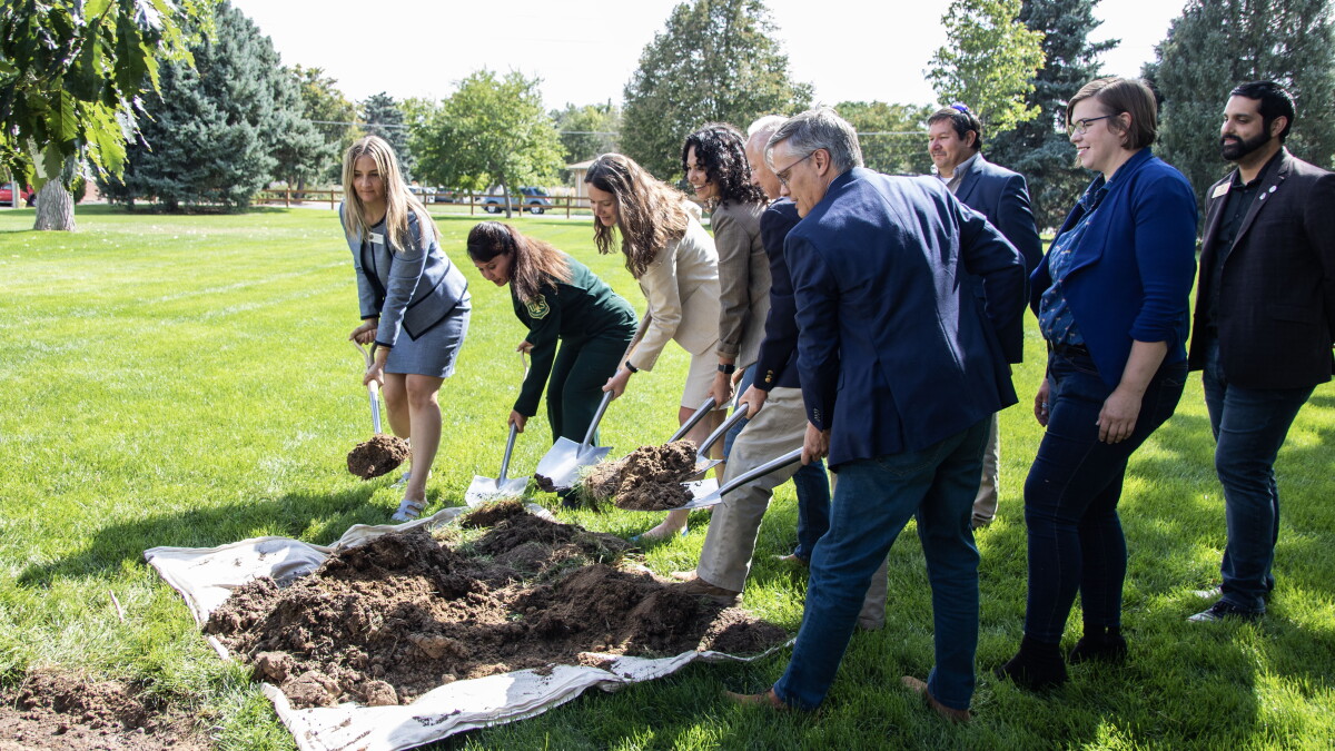 Forest Service spends nearly $70 million to plant trees in Mountain West - Vimarsana News