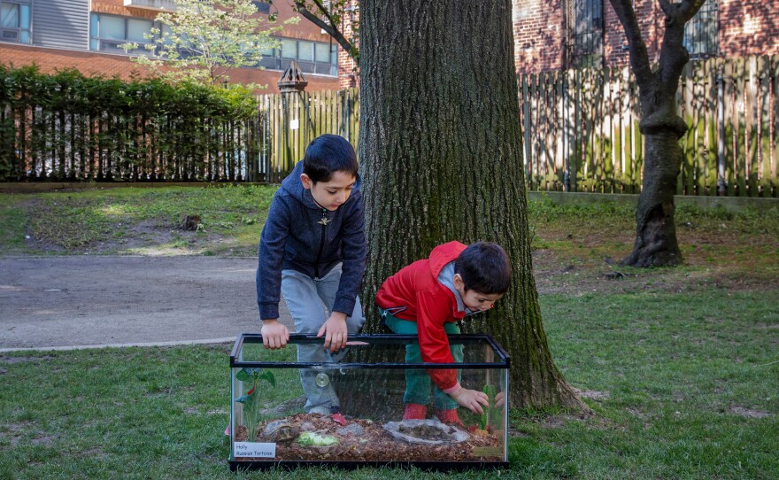 The Agha family finds Holly, who is "not a fast walker," easy to care for.