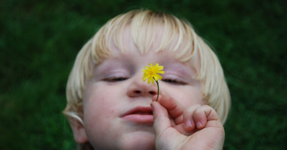 N H Families Fight For Rare Diagnosis Linking Strep To Kids OCD New 