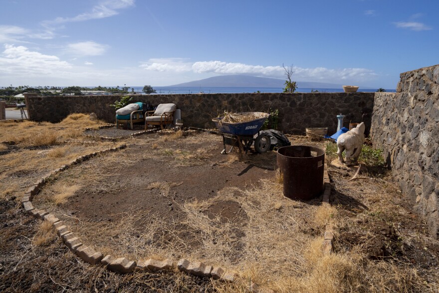 The lot where the four-bedroom house Tamara Akiona and her ten family members and friends used to live, is pictured, Thursday, Dec. 12, 2024, in Lahaina, Hawaiʻi. The house burned down during last year's Lahaina wildfire. (AP Photo/Mengshin Lin)