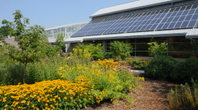 The many rain gardens at the Cincinnati Zoo capture and use rainwater that would otherwise become runoff and potentially overburden the city's storm sewers.  