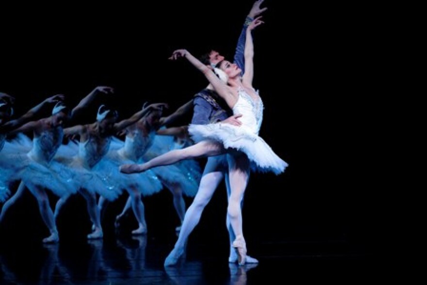 swanlake1.jpg
