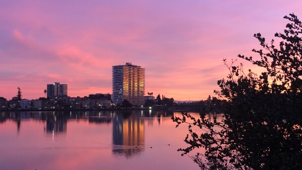 An image of a building in the distance reflecting against the water of Lake Merritt below it, with the silhouetted branches of a tree in the foreground. 