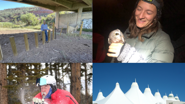 Four images, including a man under a bridge, a woman holds an owl, a man uses his breath to blow snow and the roof of denver international airport