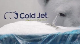 Cold Jet says it is the worldwide leader in the manufacturing of dry ice production.