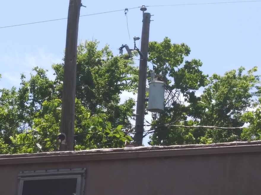 Ray Finger Submitted - On top of the Transformer making a lot of noise - Pileated Woodpecker