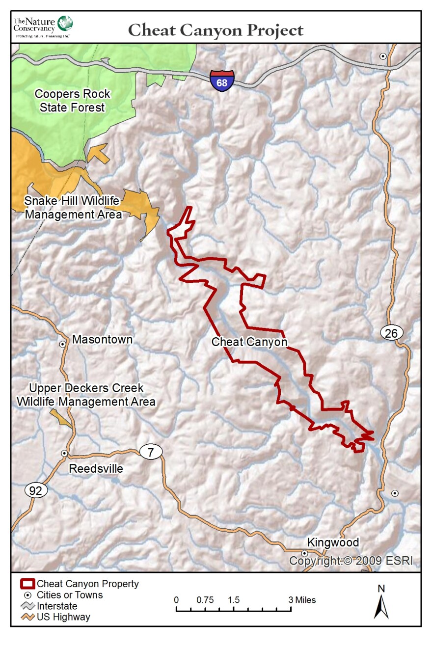 CheatCanyon_map.jpg