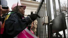 Elaine Johnson, whose son was killed in Iraq, joins anti-war demonstrators outside the White House.