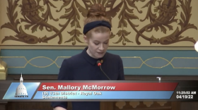 A screenshot of state Sen. McMorrow's speech Tuesday.