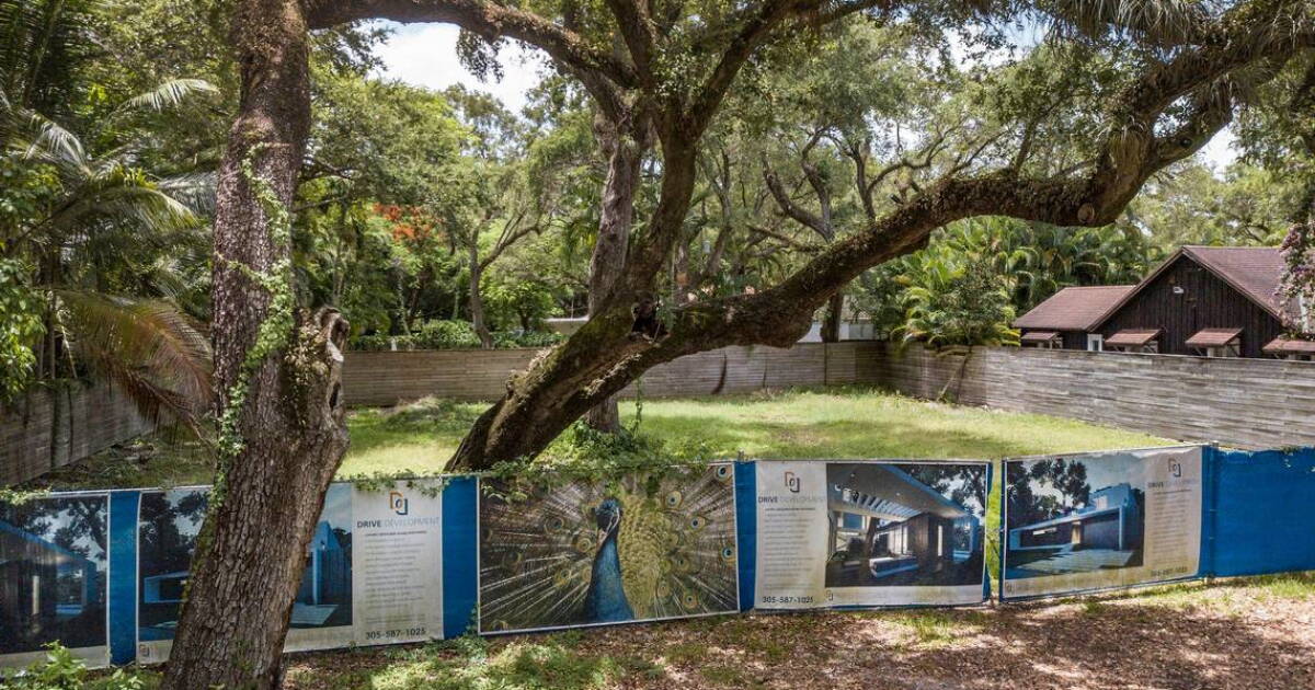 Miami Treee Developers push controversial Miami ordinance that would make it easier ...