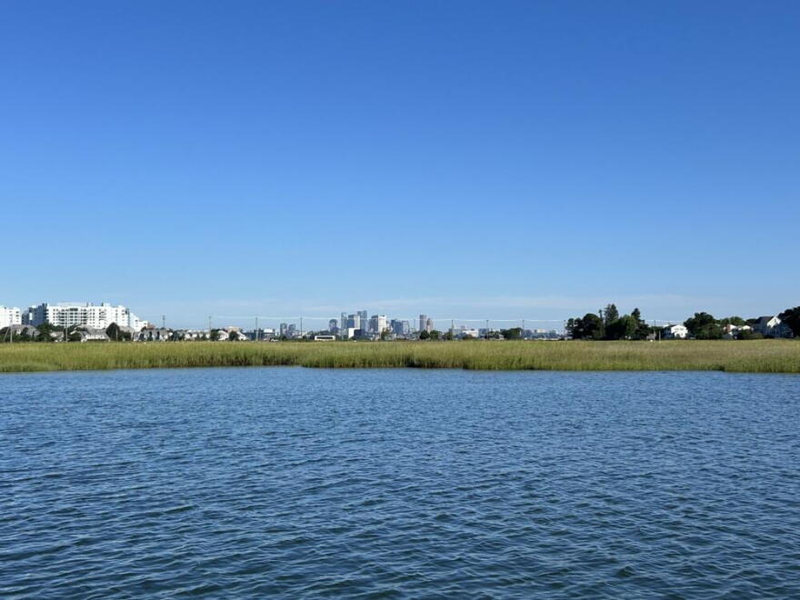 Boston skyline from Squantum Marshes in Quincy Bay. (Amanda Beland/WBUR)