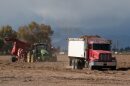 Potato harvest time on a farm between Monte Vista and Alamos in the San Luis Valley, Sept. 29, 2025. The valley is said to be the second-largest producer of potatoes in the United States.
