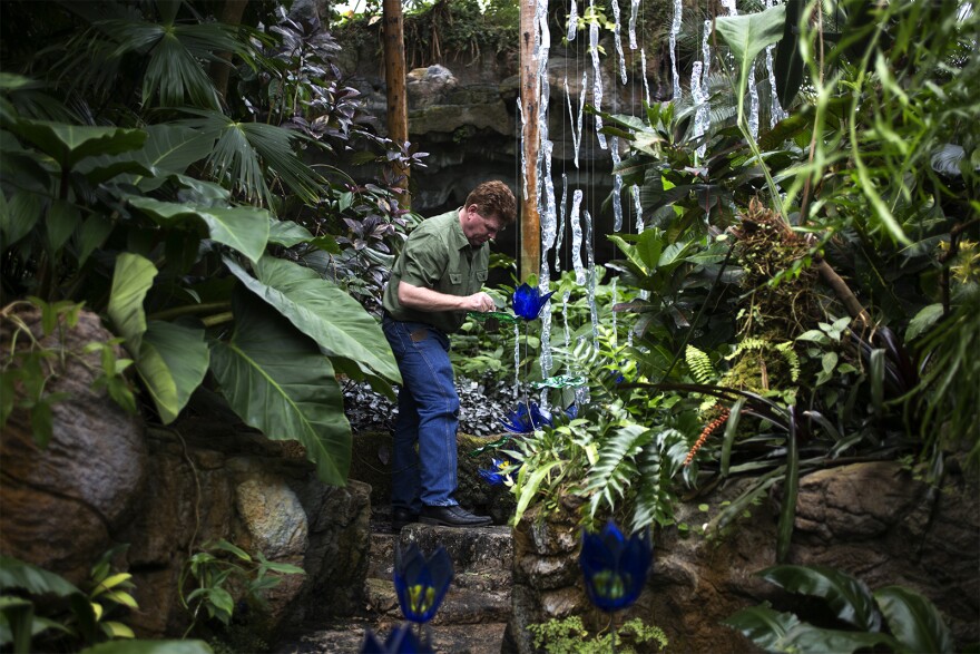 Craig Mitchell Smith adjusts a glass flower on one of his larger pieces inside the Climatron at the Missouri Botanical Garden. (May 8, 2017)