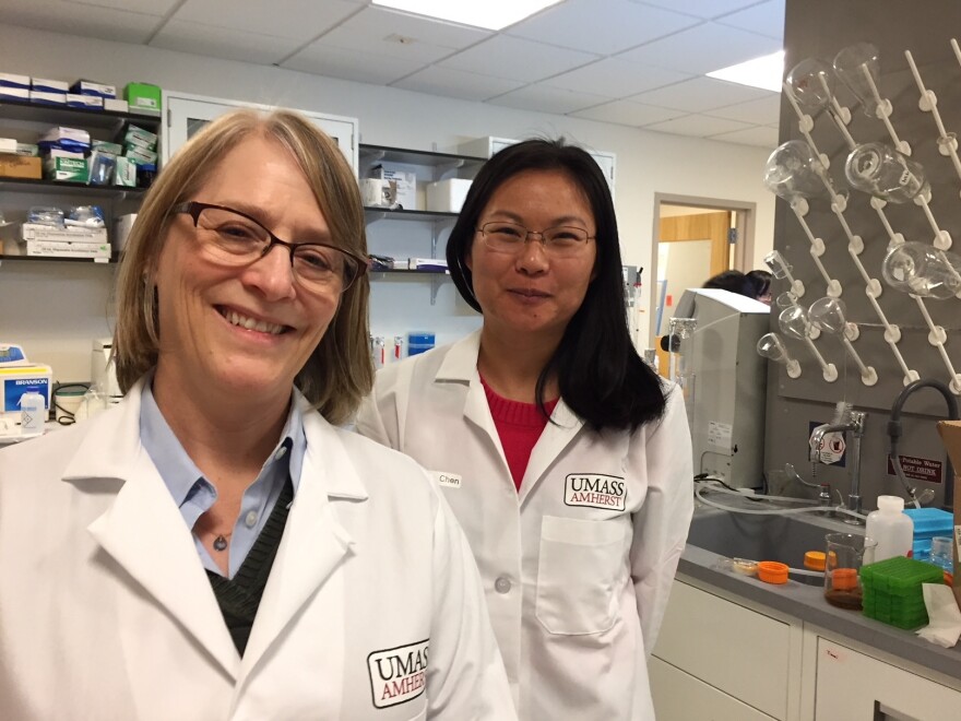 UMass food scientists Lynne McLandsborough, left, and Lili He are researching ways to use your smartphone to detect bacteria in food.