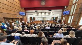 People fill seats and stand in line along one wall at a meeting in the Birmingham City Council's chambers.