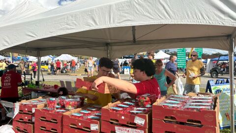 Volunteers sell cartons of strawberries during the 12th annual Habitat for Humanity Ocala Strawberry Festival. Organizers said proceeds from the event help fund home construction for local families in need.