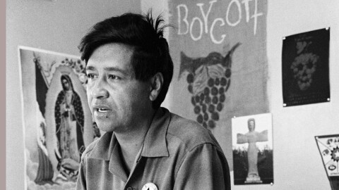 Cesar Chavez, a farm worker, labor organizer and leader of the California grape strike, is seen in a California works office in 1965.
