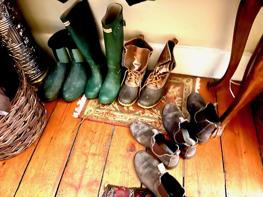 A selection of shoes deposited at the writer’s front door