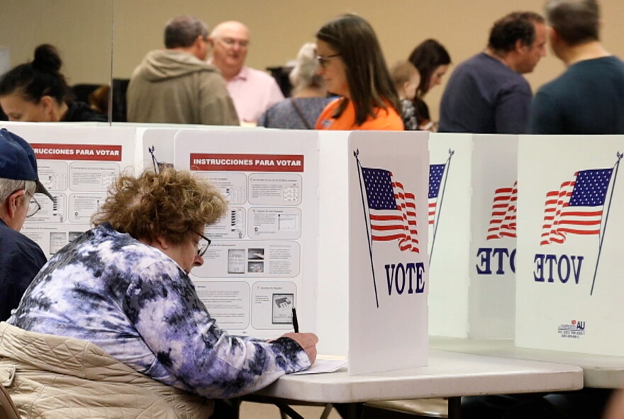 Monroe County residents cast their ballot for the 2024 election at Perinton Square Mall on Friday, November, 1st during early voting.