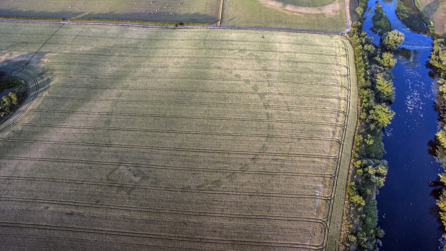 Drone footage captured by Anthony Murphy shows the outline of an ancient henge, visible in the pattern of crops grown in a field near Newgrange, Ireland.