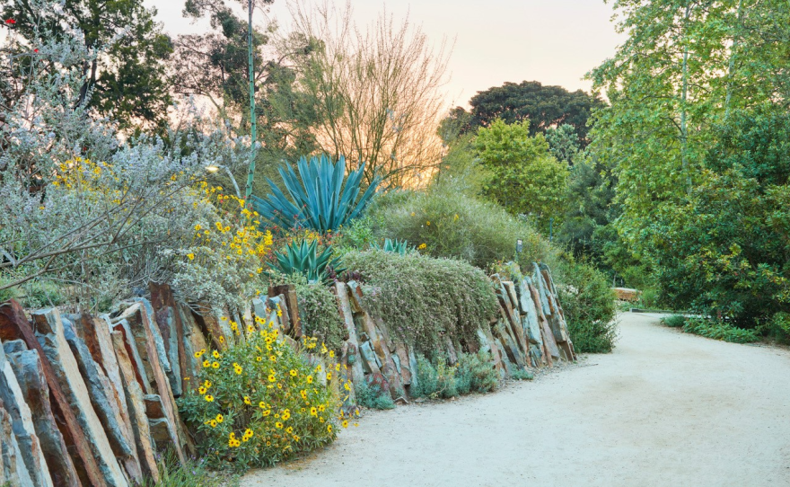 1. From the Phoenix, AZ home garden of Virginia Cave 2. From the Pacific Northwest Garden of Nancy Heckler 3. From the Nature Gardens at the Natural History Museum of LA County 4. From the home garden of Dennis Mudd in San Diego County, CA 5. Book cover
