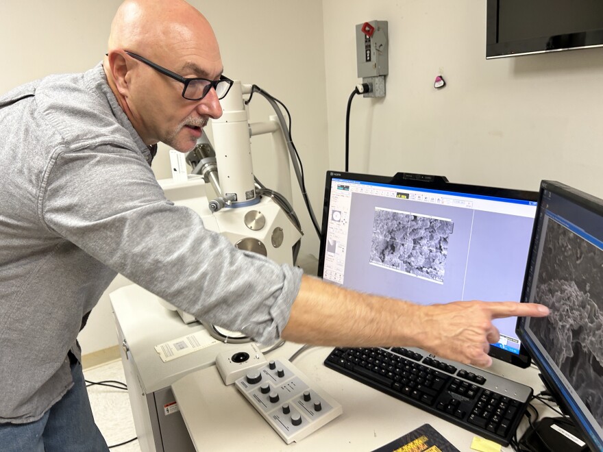A man wearing glasses and a gray button-down shirt with the sleeves rolled up leans over a desk, pointing to a computer screen showing an image taken by a powerful microscope.