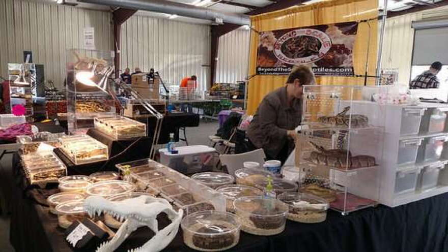 Repticon Orlando, repticon.com/orlando