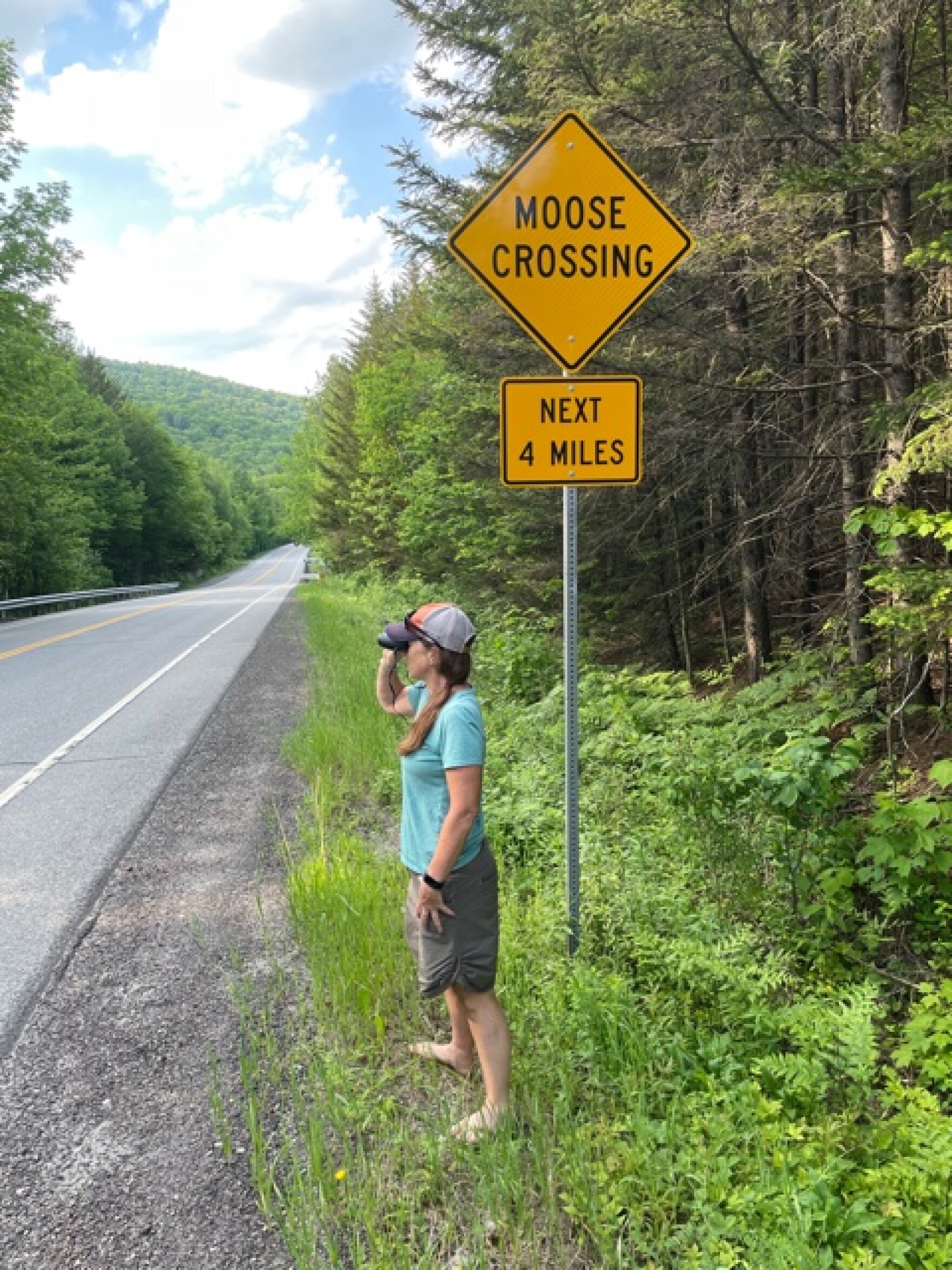 The Secret Life Of Moose Crossing Signs Vermont Public