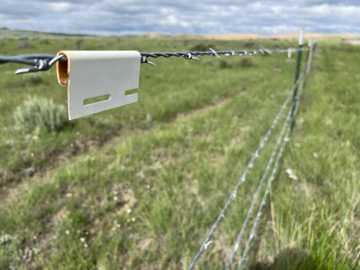 A barbed wire fence.